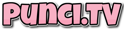Punci TV
